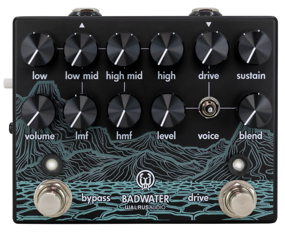 Gig Ready Bass Rig